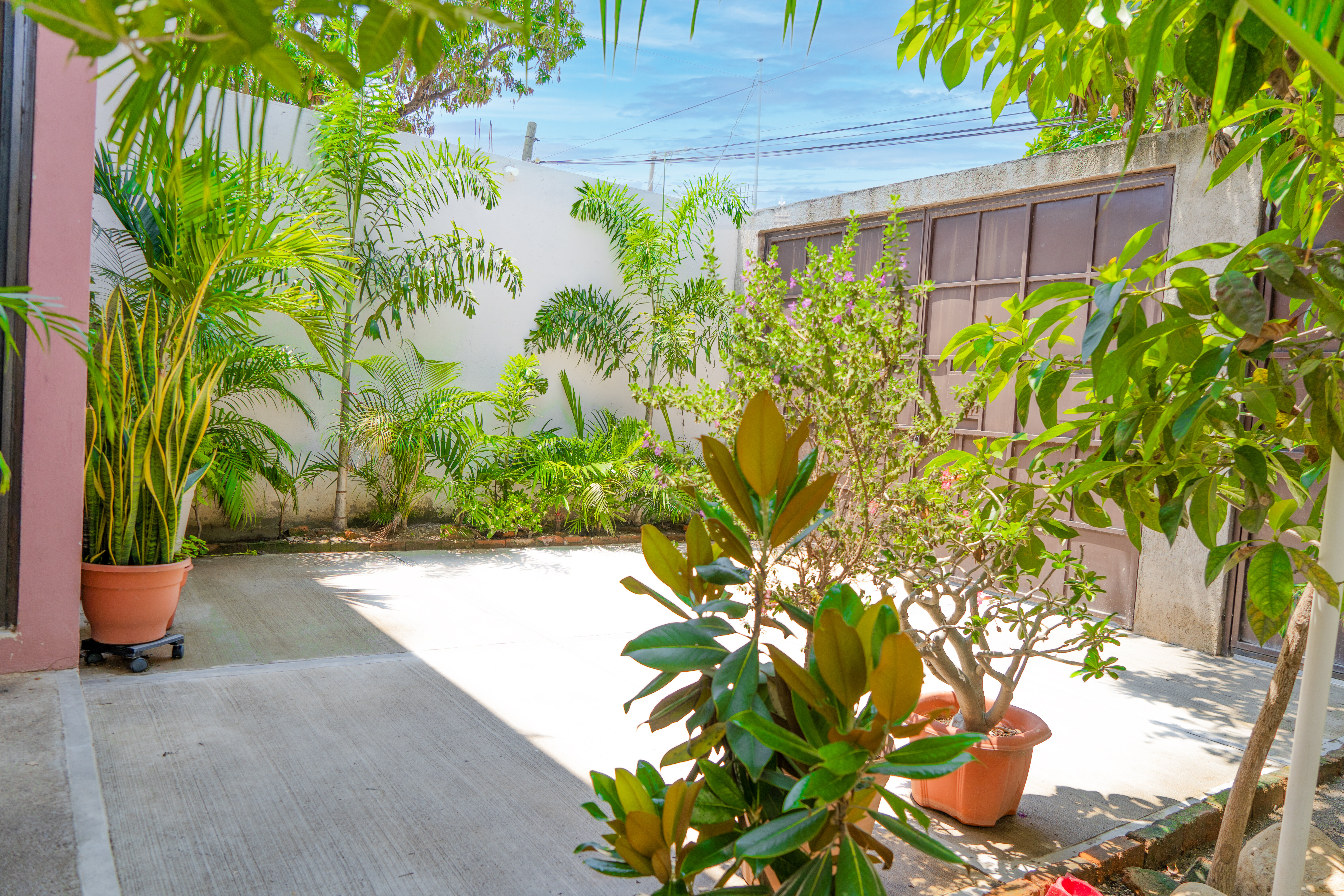 Casa Noruega Garden Courtyard